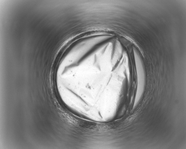 X0000059800983200511181510