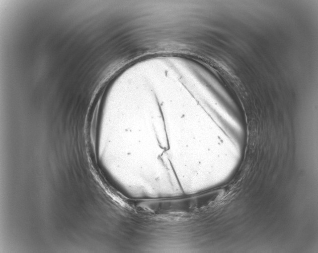 X0000059800990200511181510