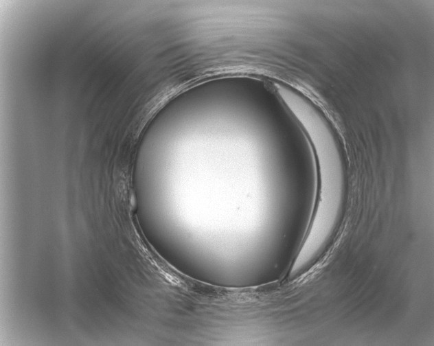 X0000059800993200511181510