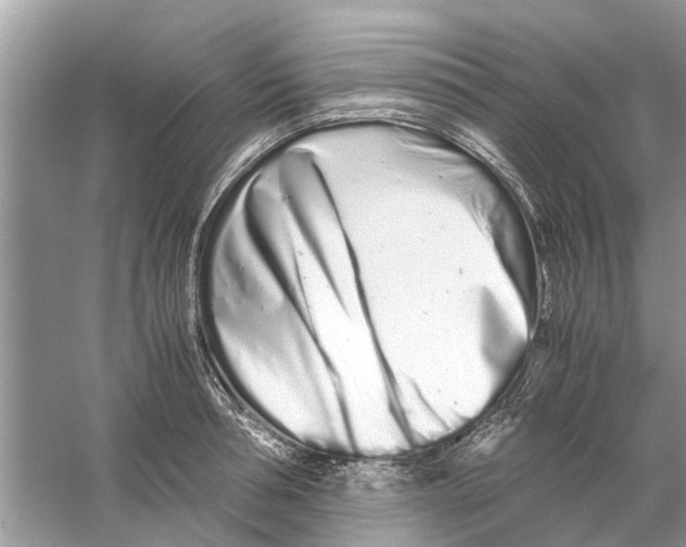 X0000059800994200511181510