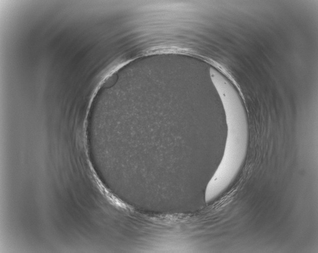 X0000059800995200511181510