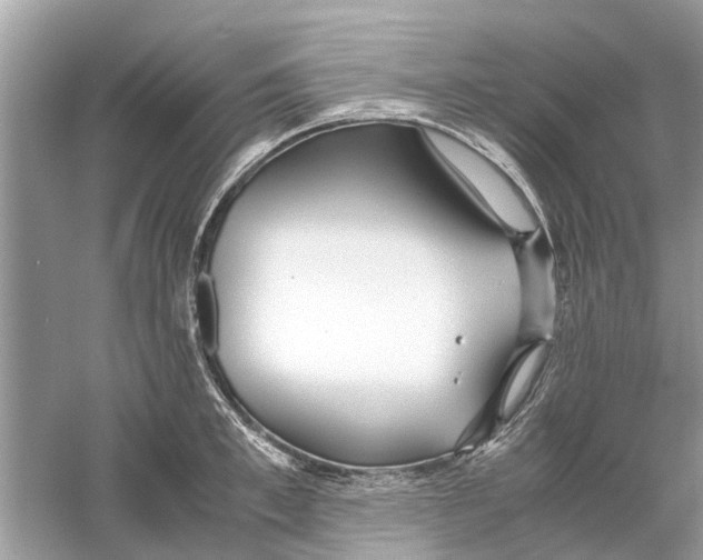 X0000059800997200511181509