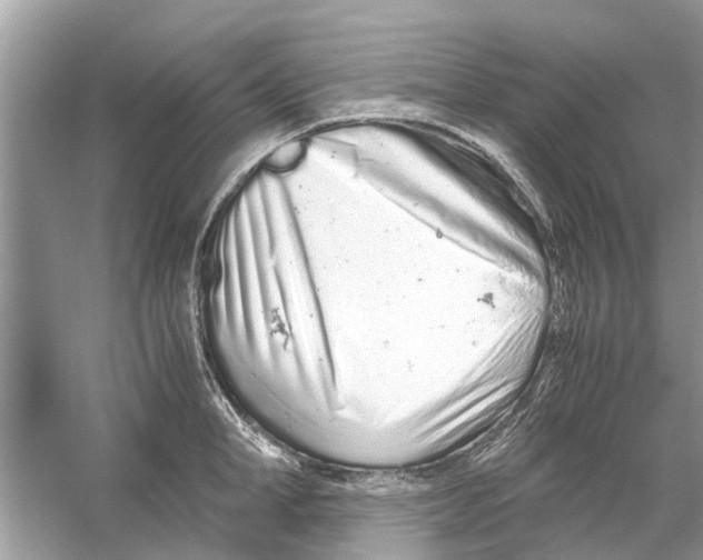 X0000059800998200511181509