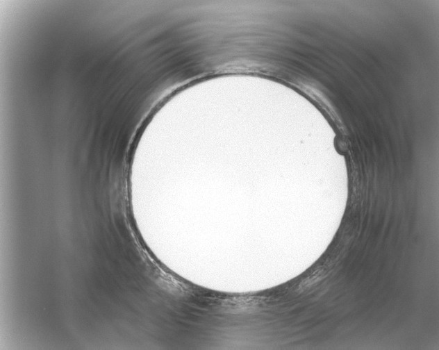 X0000059801000200511181509