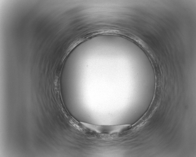 X0000059801001200511181509