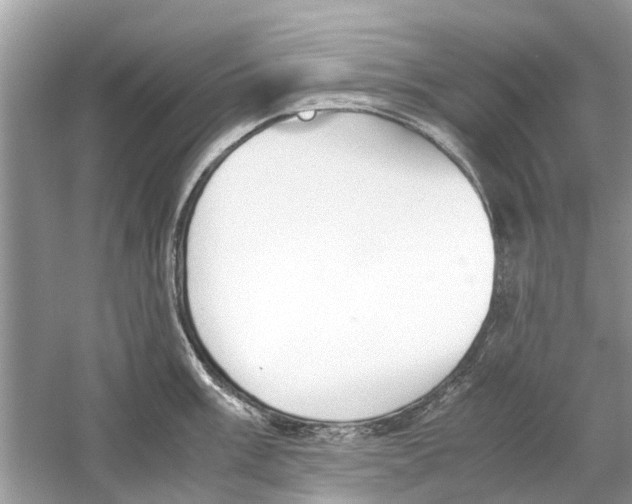 X0000059801003200511181509