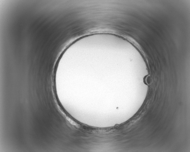 X0000059801005200511181509