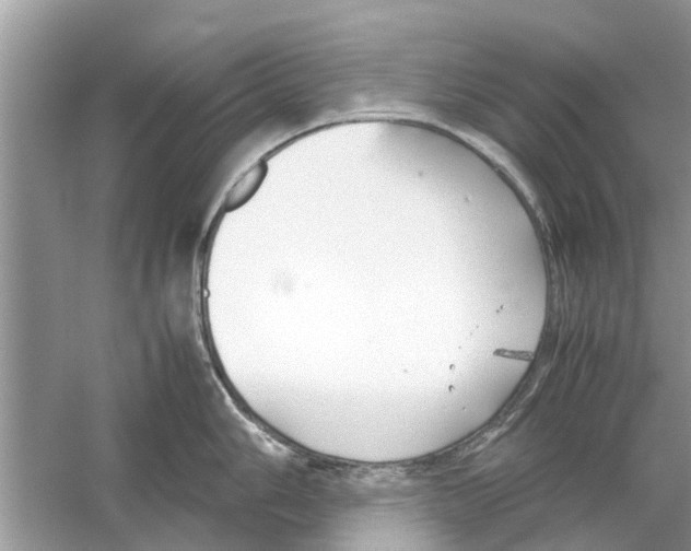 X0000059801006200511181509