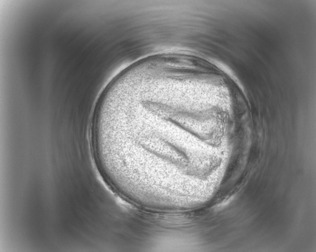 X0000059801007200511181509