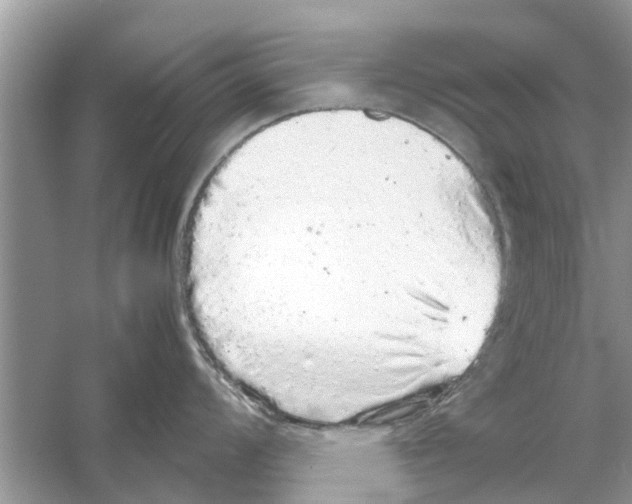 X0000059801008200511181509