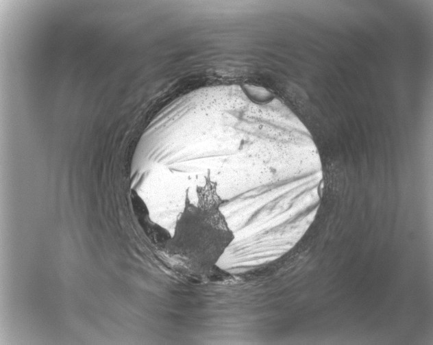 X0000059801009200511181508