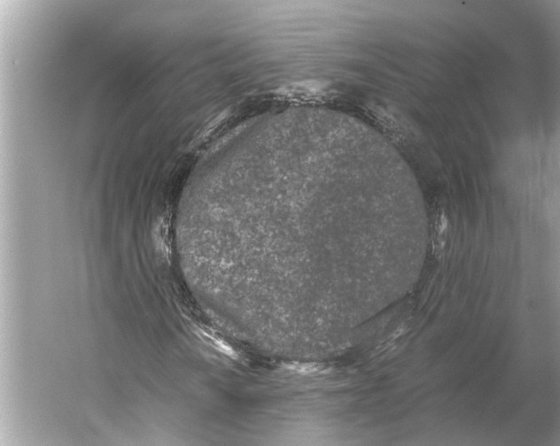 X0000059801010200511181509