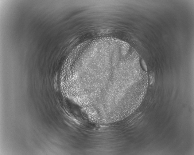 X0000059801011200511181509