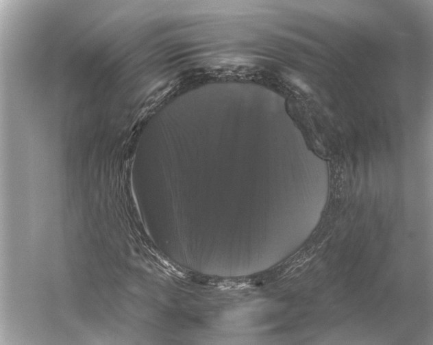 X0000059801013200511181509