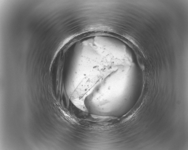 X0000059801022200511181509