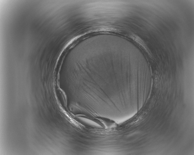 X0000059801024200511181509