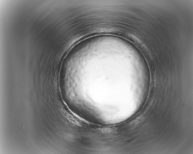 X0000059801025200511181509