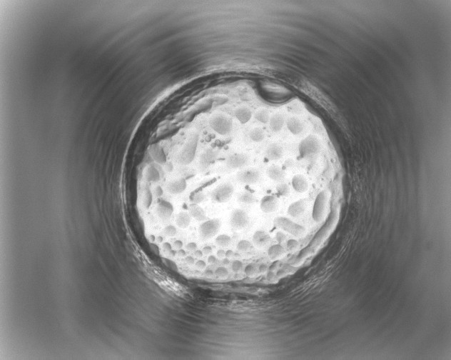 X0000059801028200511181509