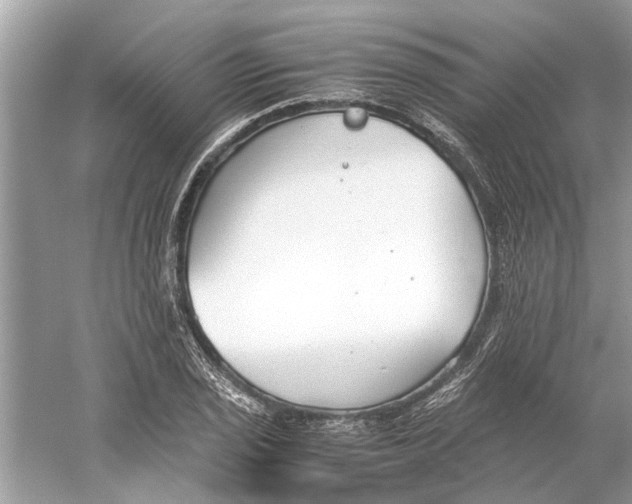 X0000059801029200511181509