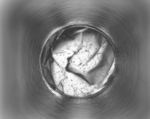 X0000059801030200511181509