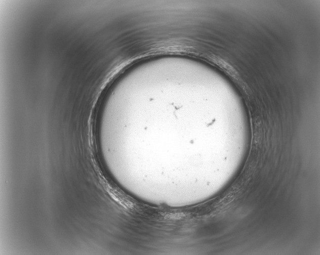 X0000059801031200511181509