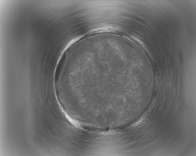 X0000059801034200511181509