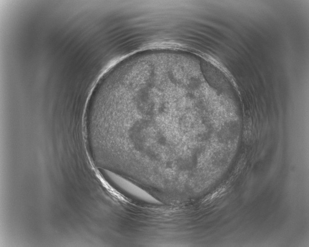 X0000059801037200511181509