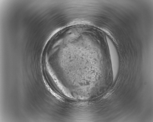 X0000059801038200511181509