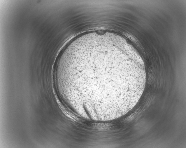 X0000059801039200511181509