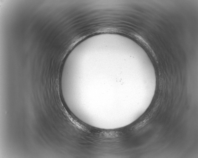 X0000059801041200511181509