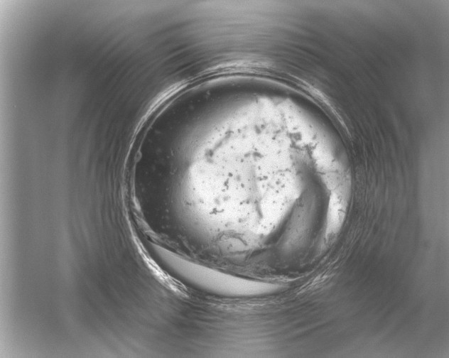 X0000059801042200511181509