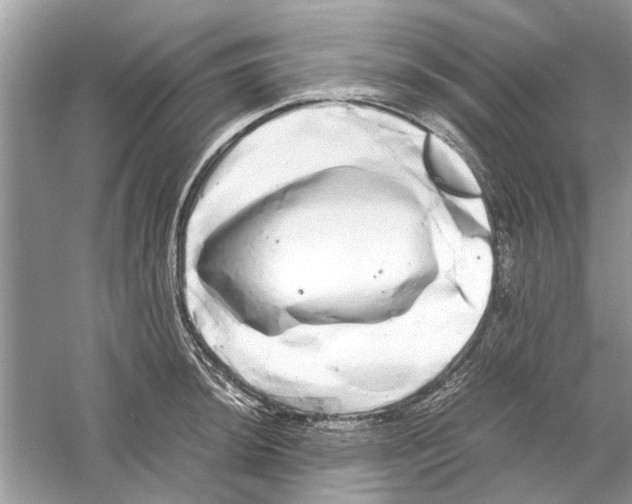 X0000059801044200511181509