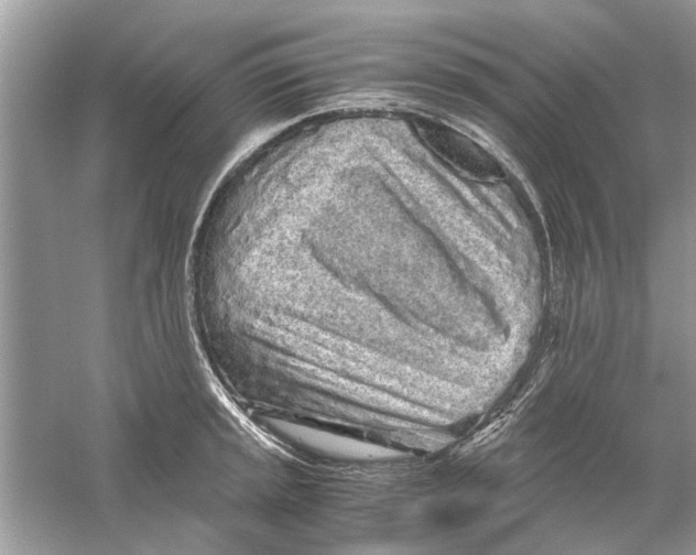 X0000059801045200511181509