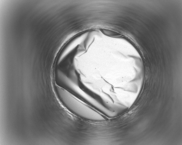 X0000059801048200511181509