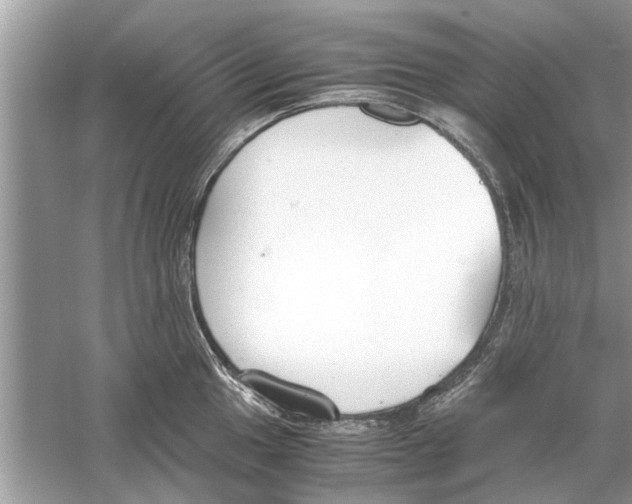 X0000059801049200511181509