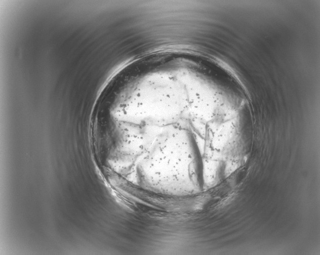 X0000059801050200511181509