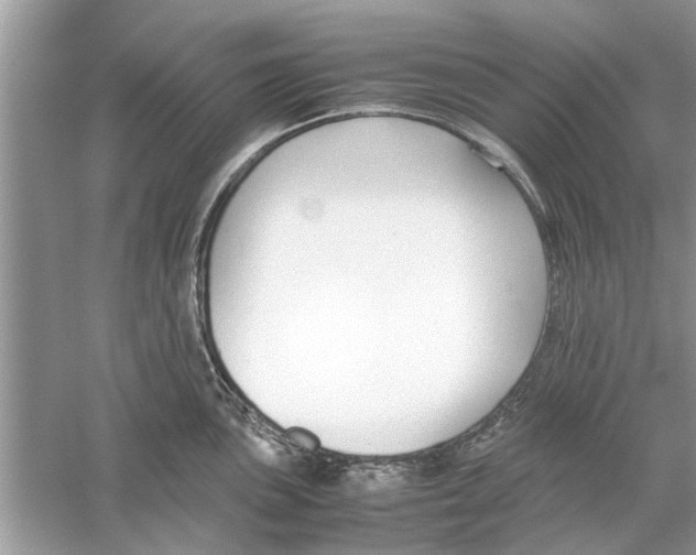 X0000059801051200511181509