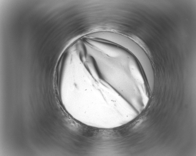 X0000059801052200511181509