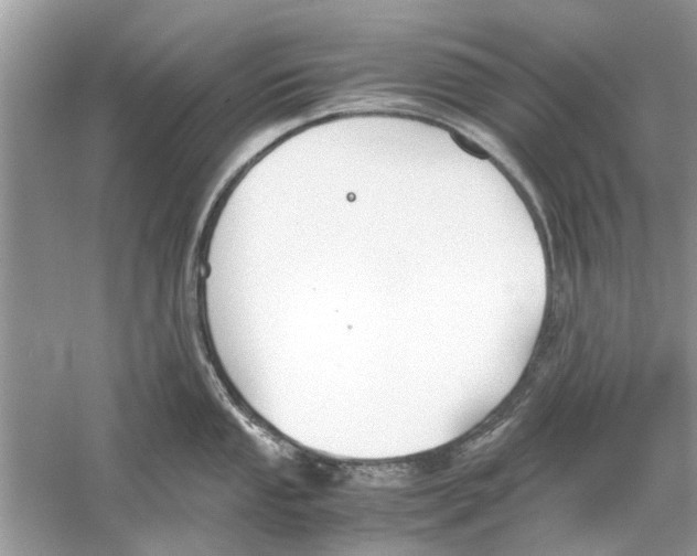 X0000059801053200511181509