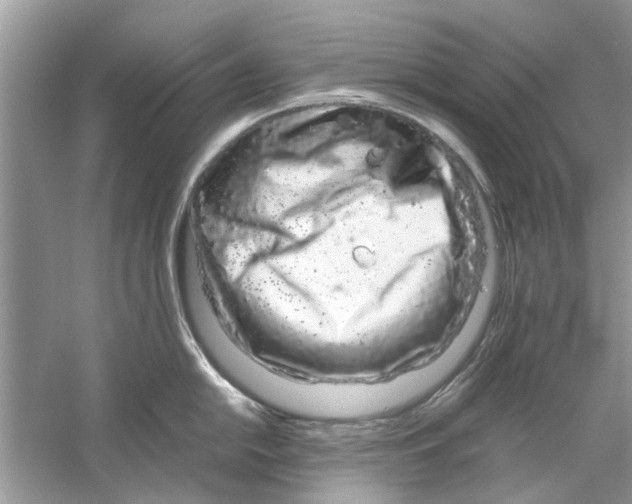 X0000059801054200511181509