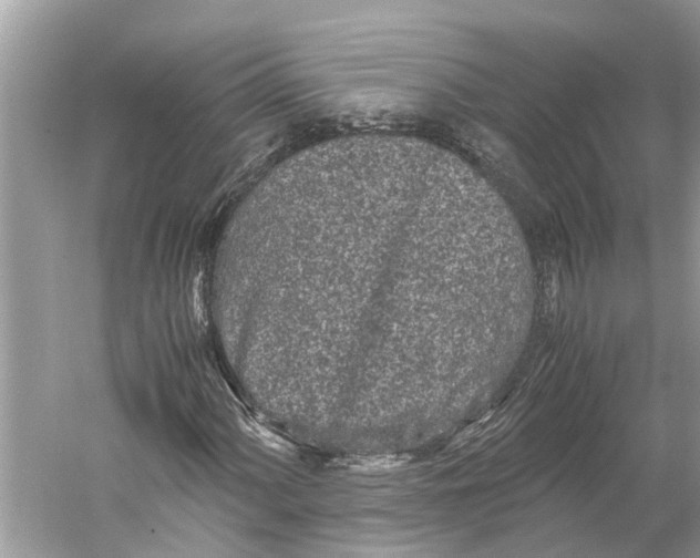 X0000059801060200511181508