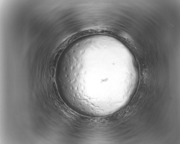 X0000059801064200511181508