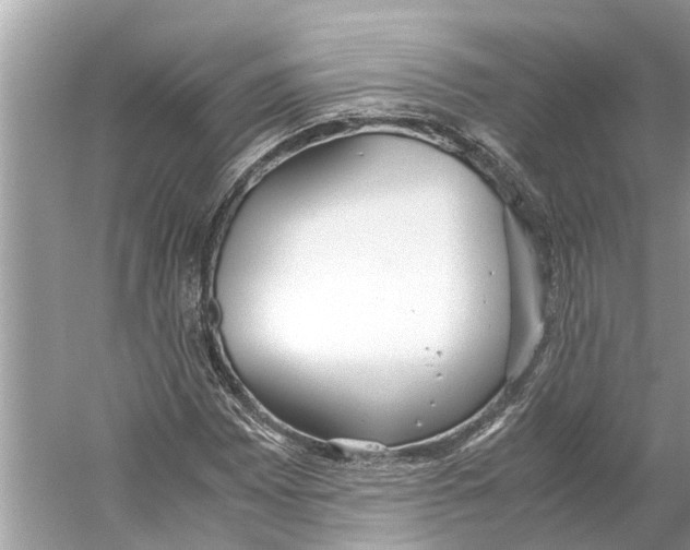 X0000059801065200511181508