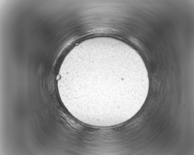 X0000059801067200511181508