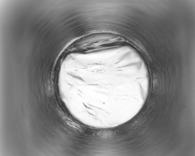 X0000059801068200511181508