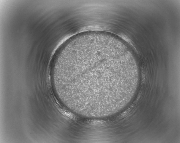 X0000059801070200511181508