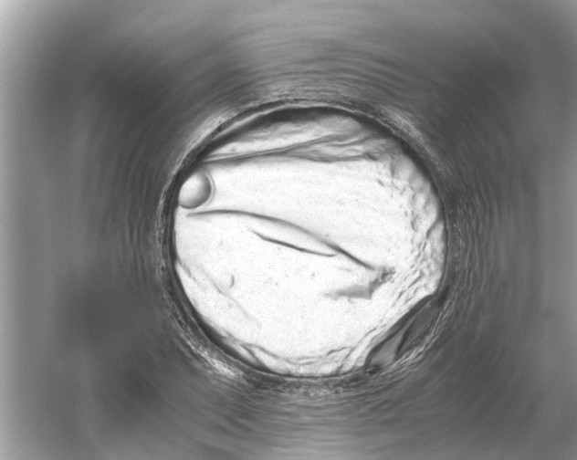 X0000059801071200511181508