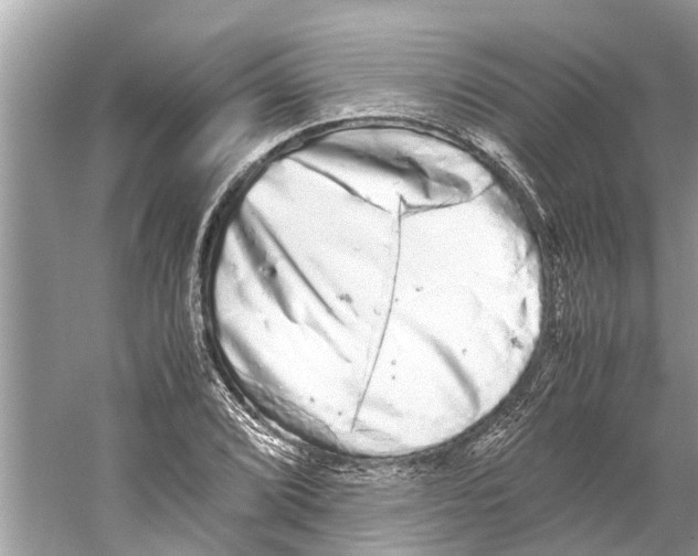 X0000059801072200511181508