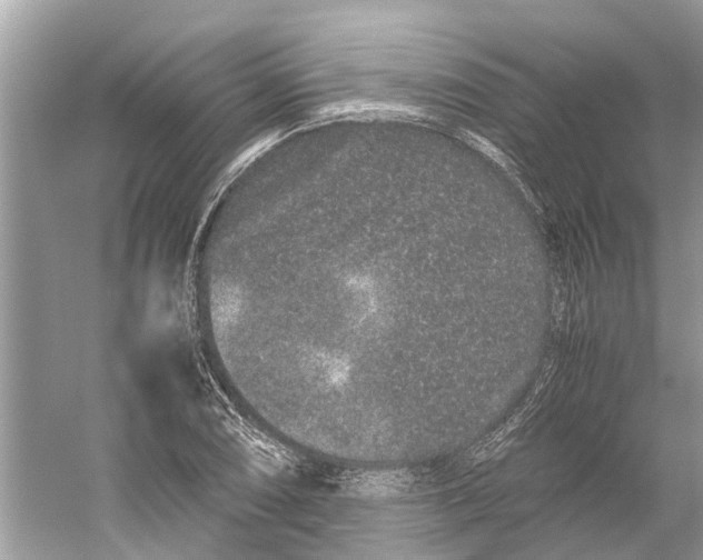 X0000059801074200511181508