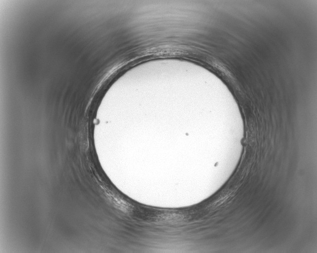 X0000059801075200511181508